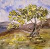 spring bloom finger painting